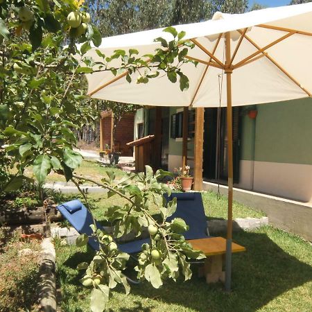 Villa Ecobosque Nadadouro Exterior foto